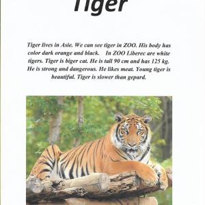 animal-3.jpg